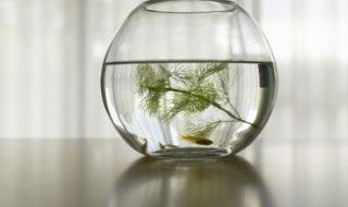 秋分后钓鱼技巧 秋分后钓鱼技巧和方法