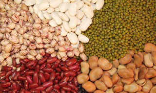 什么是粗粮食物有哪些（五谷杂粮一览表）