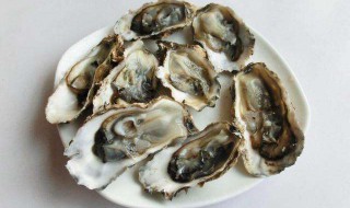生蚝蒸多长时间最好吃 原只生蚝蒸多长时间最好吃