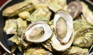 清蒸生蚝多少分钟 清蒸生蚝多少分钟大的