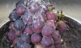 葡萄怎么洗才能洗干净 葡萄怎么洗才能洗干净视频