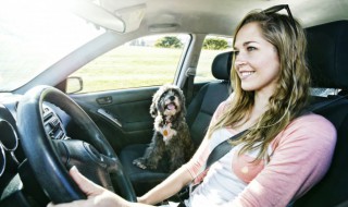 车船税什么意思 保险里代收车船税什么意思