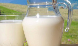 喝牛奶后喝别的可以吗（喝牛奶可不可以再喝）