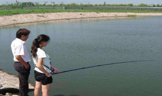 鱼杆28调什么意思 鱼杆28调19调代表什么