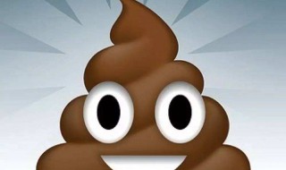 梦见踩屎了是什么意思（梦见踩屎了是什么意思周公解梦）