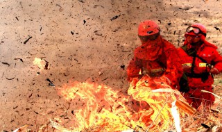 消防安全的四个能力是指什么 消防安全的四个能力是指什么意思