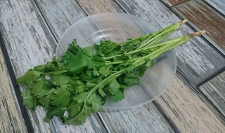 香菜祛斑方法（香菜祛斑方法有哪些）