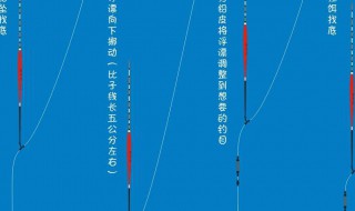 最简单的调漂方法（走水最简单的调漂方法）