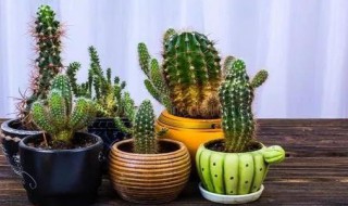 六种室内净化空气方法（六种室内净化空气方法是什么）