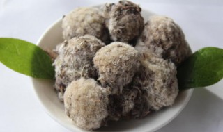 藏雪莲花的功效与作用及食用方法 干雪莲花泡水喝的功效