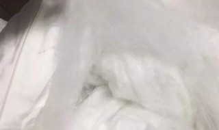 桑蚕丝的鉴别方法（桑蚕丝的鉴别方法用火烧）