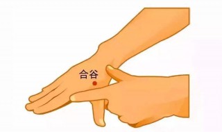 防晕车最有效的方法（防晕车最有效的方法贴生姜）