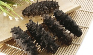 怎么选海参多少头好 海参多少头怎么看