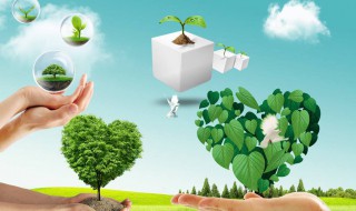 节约用纸的宣传语（公司节约用纸的宣传语）