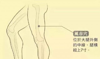瘦大腿内侧的方法 瘦大腿内侧视频教程