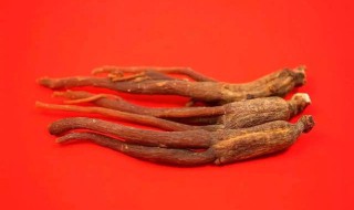 当参的功效与作用及食用方法（当参的功效与作用及食用方法）