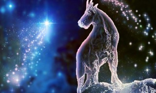 摩羯女跟什么星座最配 摩羯女跟什么星座最配呀男生