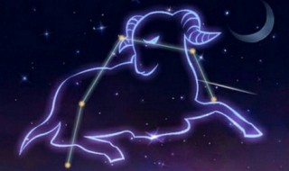 双子座和什么星座最配（双子座和什么星座最配做闺蜜）