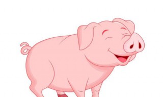 属猪男和什么属相最配 1995属猪男和什么属相最配