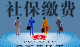 如何查询社保缴费情况（在手机上如何查询社保缴费情况）