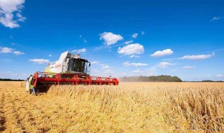 第二产业是指什么（中国第二产业是指什么）