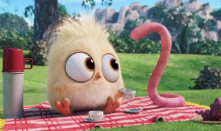 蚯蚓怎么养殖（蚯蚓怎么养殖方法）