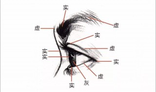 五官指的是哪五官（五官指的是哪五个部位）