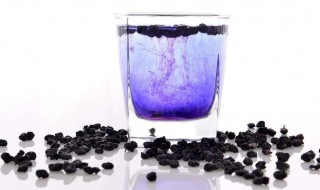 黑枸杞泡水一次放几粒 黑枸杞泡水一次放几粒合适