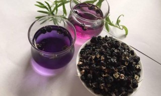 女人喝黑枸杞好处（女人喝黑枸杞好处会抑制掉头发吗）