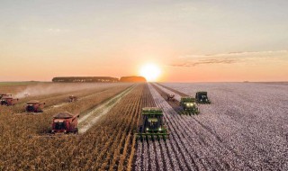 三农指的是哪三农 三资指的是哪三资