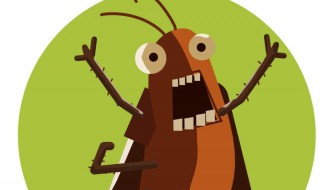 去除蟑螂最有效的方法 去除蟑螂最有效的方法有哪些