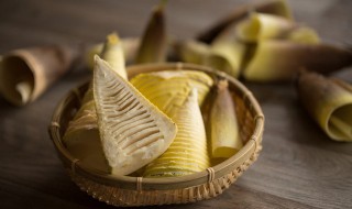 怎么挖冬笋技巧（怎么挖冬笋技巧视频）