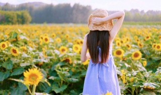 清新阳光短句 清新阳光的图片唯美