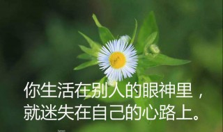 人生感言短句 人生感言短句励志10字