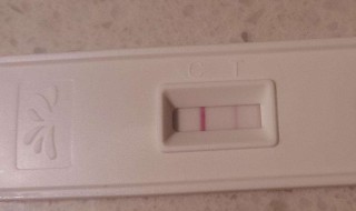 验孕棒怎样看（验孕棒怎样看结果）