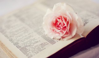 霸气的句子超拽霸气（男人霸气的句子超拽霸气）