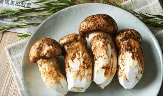 松茸如何保存（松茸如何保存长久）