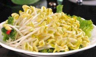 在家如何生黄豆芽（在家如何生黄豆芽视频）