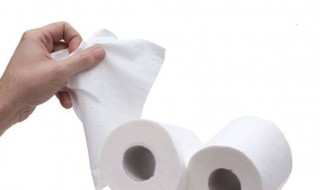 女性应怎么选择厕纸 如何选择厕纸