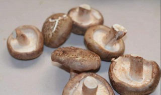 菘茸怎么保存 菘茸怎么保存时间长