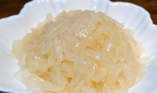 怎么保存新鲜海蜇（如何保存鲜海蜇）