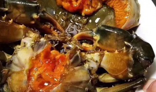 青膏蟹该怎么保存（青膏蟹怎么保存时间长）