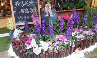 新手如何开花店（新手如何开花店,是要加盟吗）