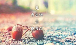 半夜发朋友圈的短句子 半夜发朋友圈的短句子正能量