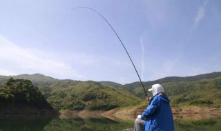 深水如何做钓黄尾（深水怎么钓黄尾）