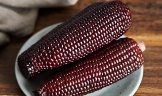黑玉米为什么不能吃 黑玉米为什么不能吃 黑玉米的功效与作用