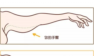 甩臂的正确方法（甩臂的正确方法视频教程）