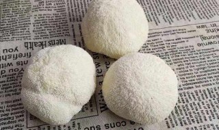 猴头菇冷冻的保存方法（猴头菇怎么冷冻）