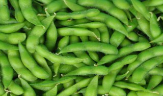 毛豆的怎么保存方法（毛豆如何保存方法）