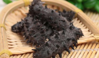 什么样的海参好呀（什么样的海参好?）
